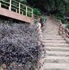 Top 25 trường tiểu học tại Hà Nội được ba mẹ review tốt nhất