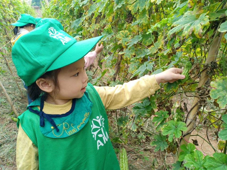 Dịch vụ và tiện ích