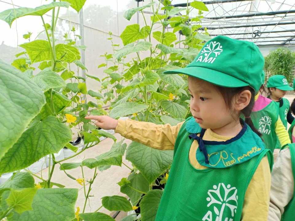 Dịch vụ và tiện ích