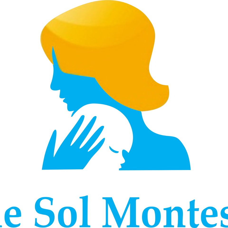 Ảnh đại diện của trường Little Sol Montessori Preschool - Lê Văn Lương