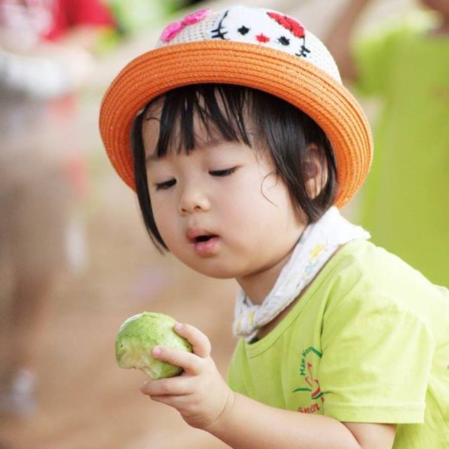 tìm trường mầm non ở Hà Nội, TP HCM