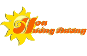 tìm trường mầm non ở Hà Nội, TP HCM