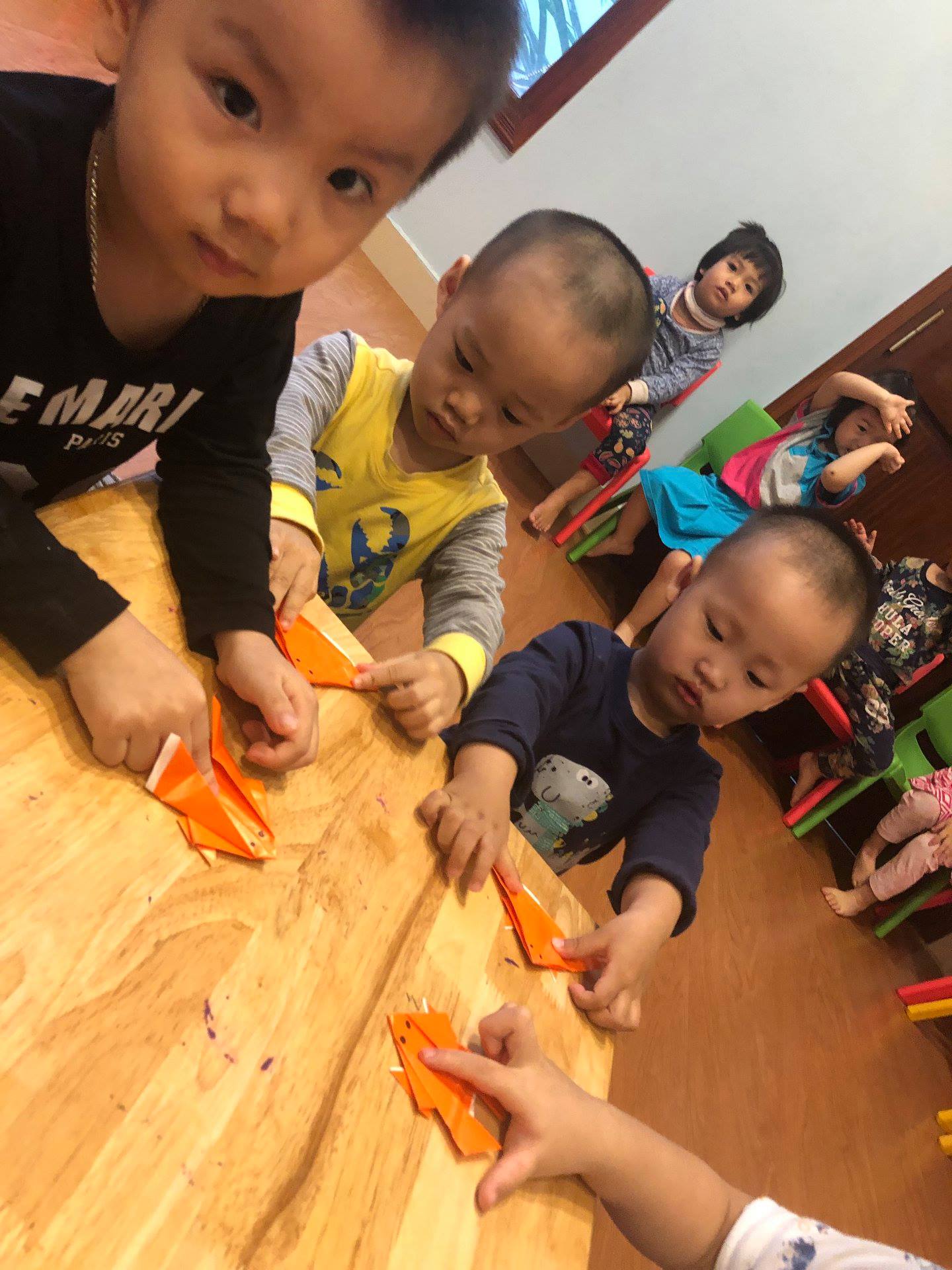 tìm trường mầm non ở Hà Nội, TP HCM