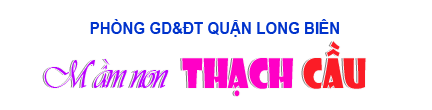tìm trường mầm non ở Hà Nội, TP HCM