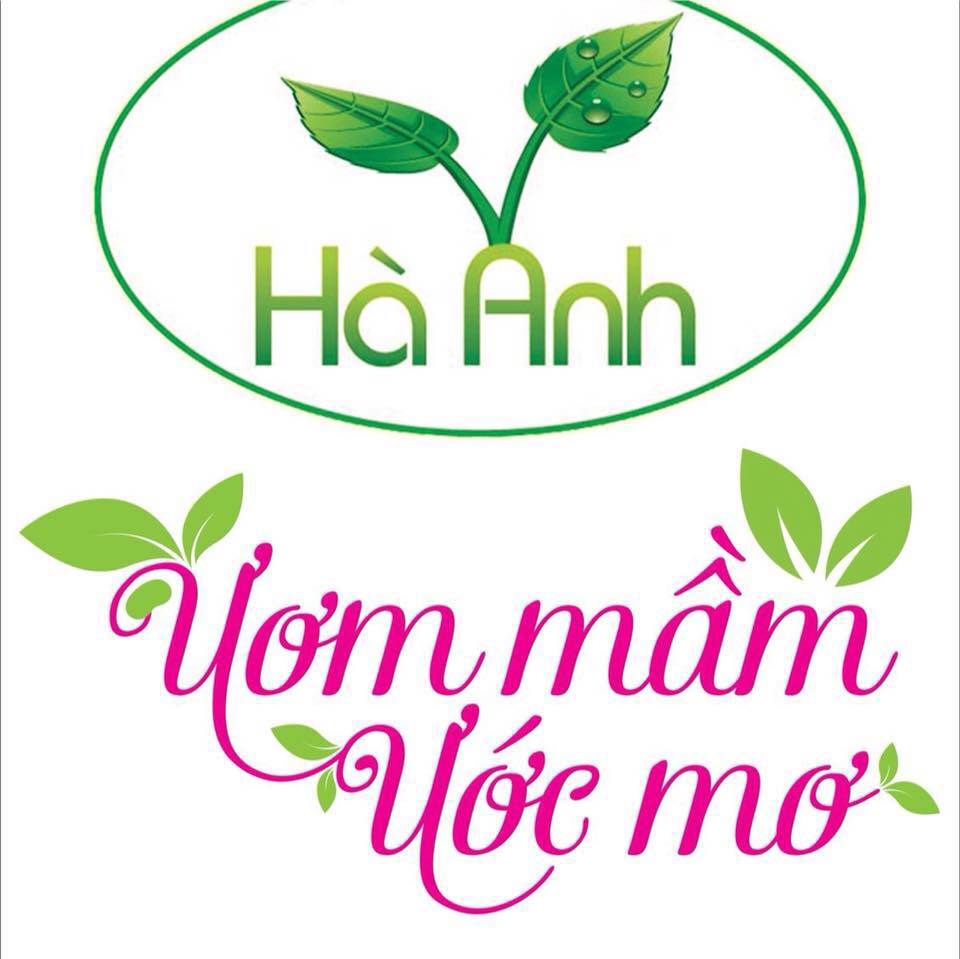 tìm trường mầm non ở Hà Nội, TP HCM