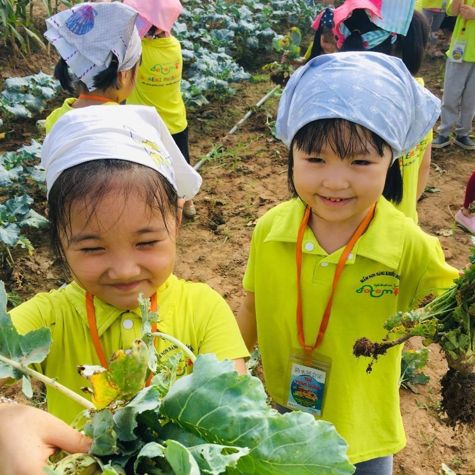 tìm trường mầm non ở Hà Nội, TP HCM