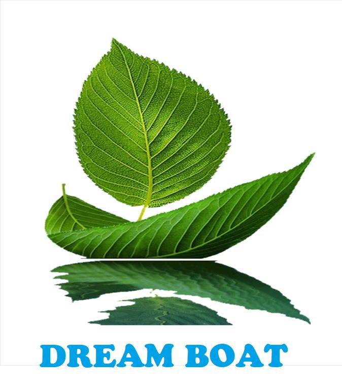 tìm trường mầm non ở Hà Nội, TP HCM