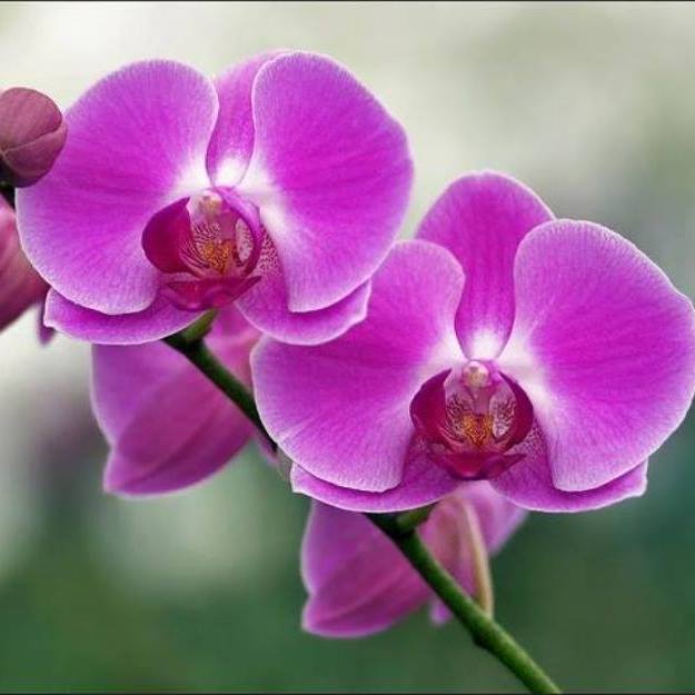 tìm trường mầm non ở Hà Nội, TP HCM