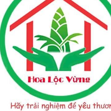 tìm trường mầm non ở Hà Nội, TP HCM