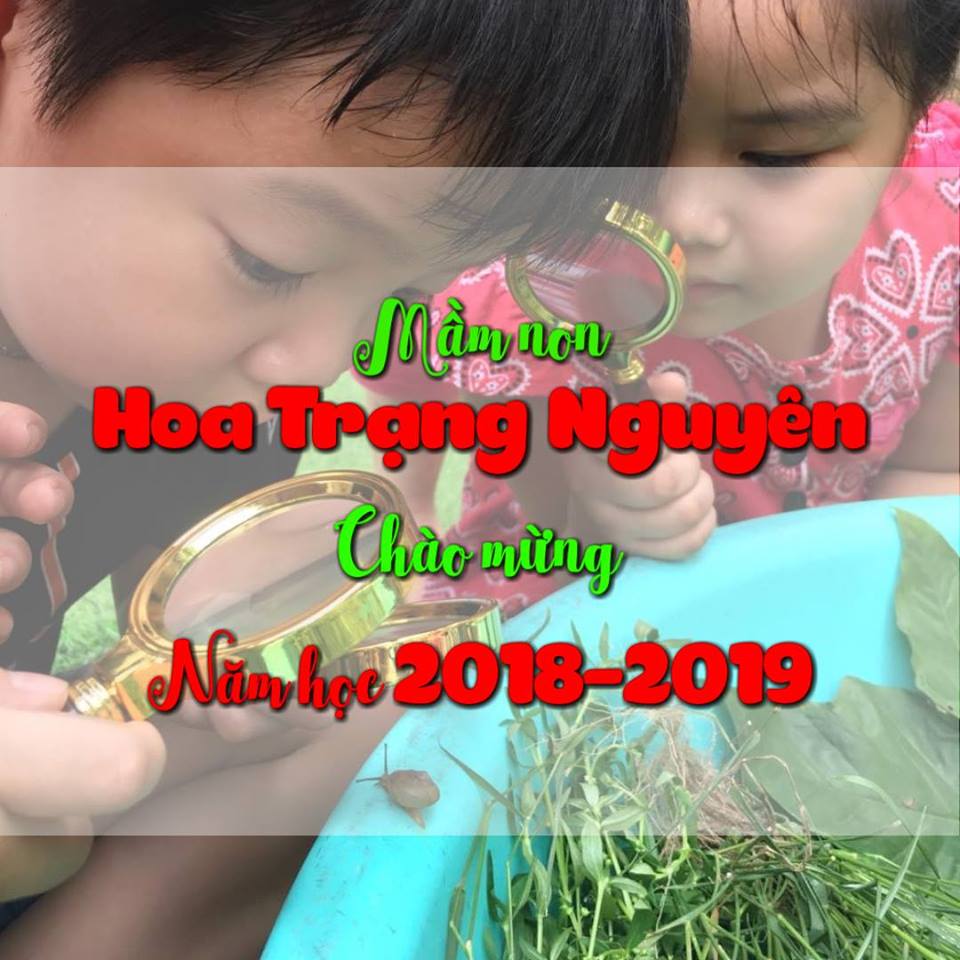 Ảnh đại diện của trường Trường mầm non Hoa Trạng Nguyên - KDT Văn Quán