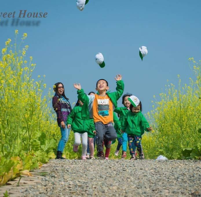 tìm trường mầm non ở Hà Nội, TP HCM