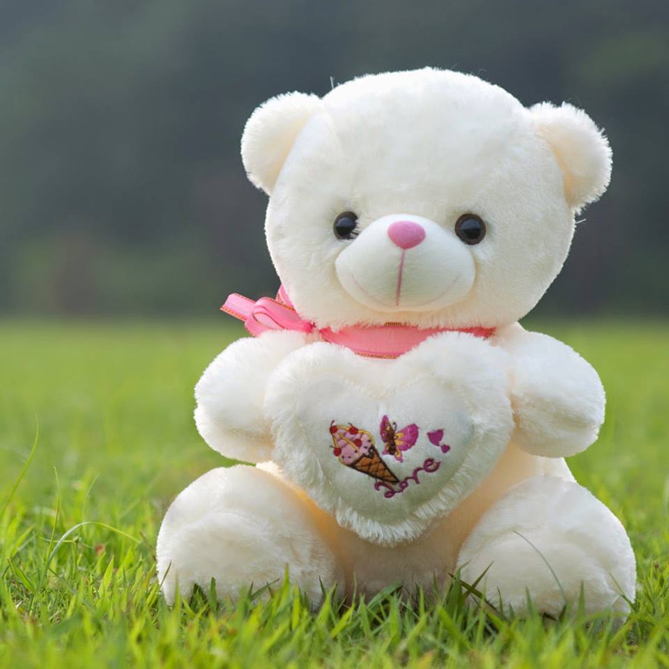 tìm trường mầm non ở Hà Nội, TP HCM