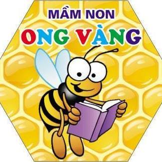 tìm trường mầm non ở Hà Nội, TP HCM