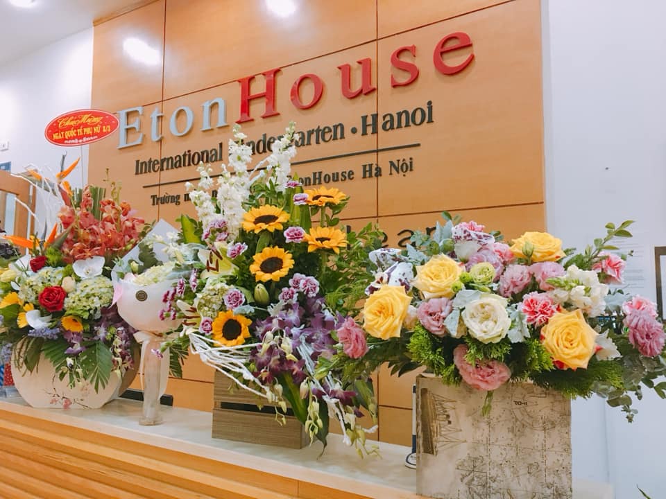 tìm trường mầm non ở Hà Nội, TP HCM