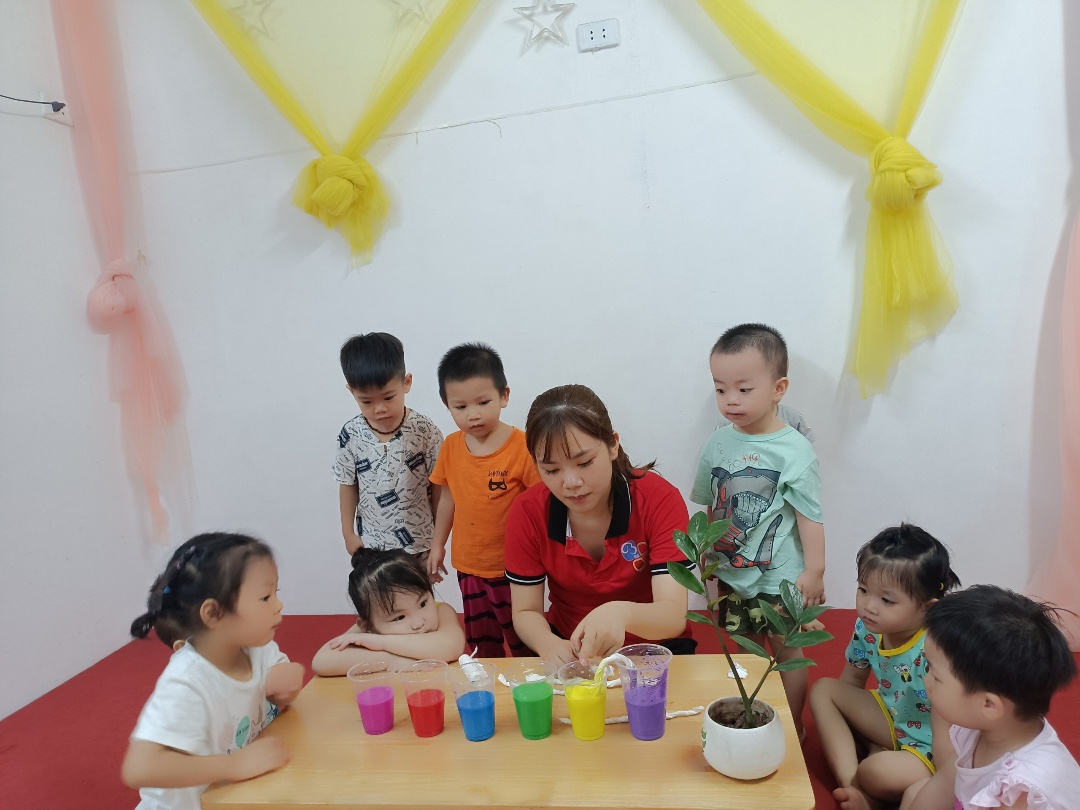 Đội ngũ giáo viên