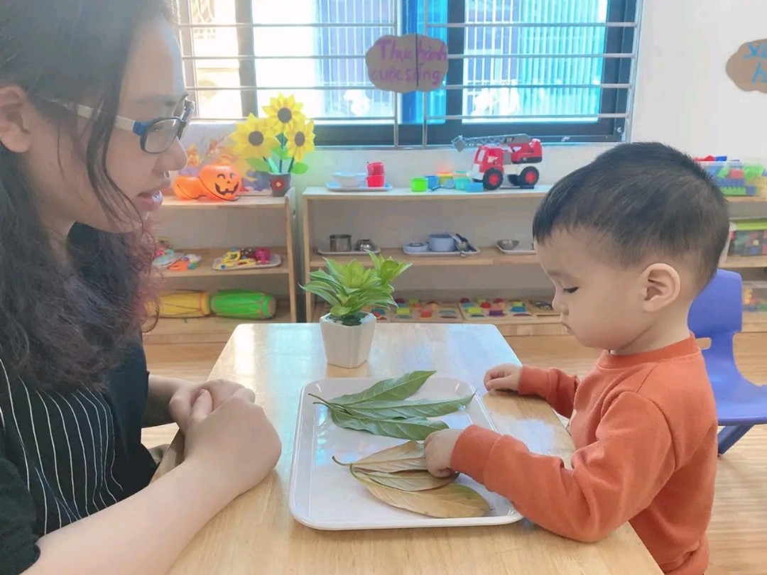 Đội ngũ giáo viên