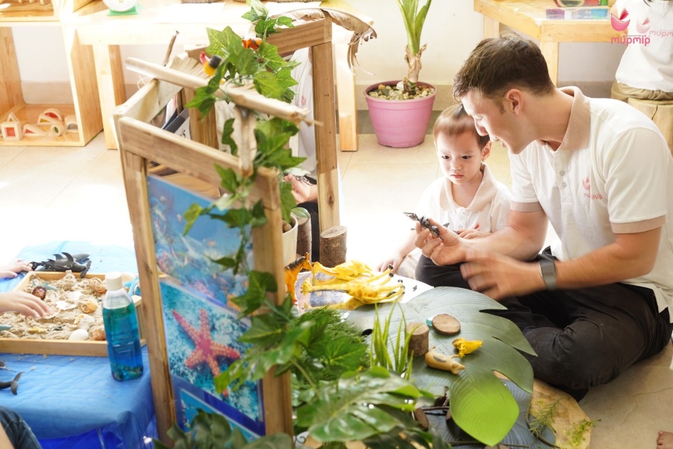 Đội ngũ giáo viên