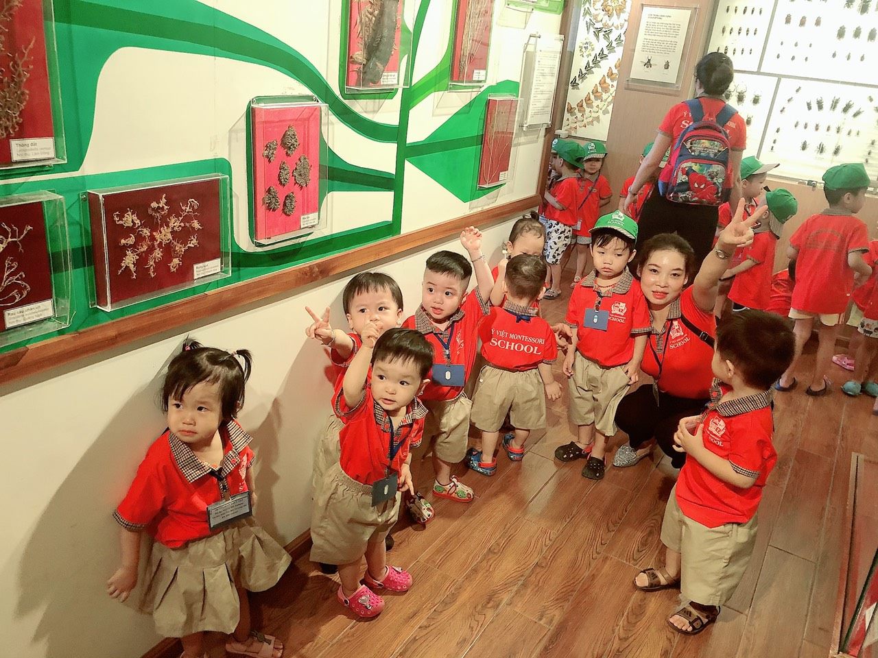 Trường mầm non Ý Việt Montessori School - Embassy Garden KĐT Tây Hồ Tây