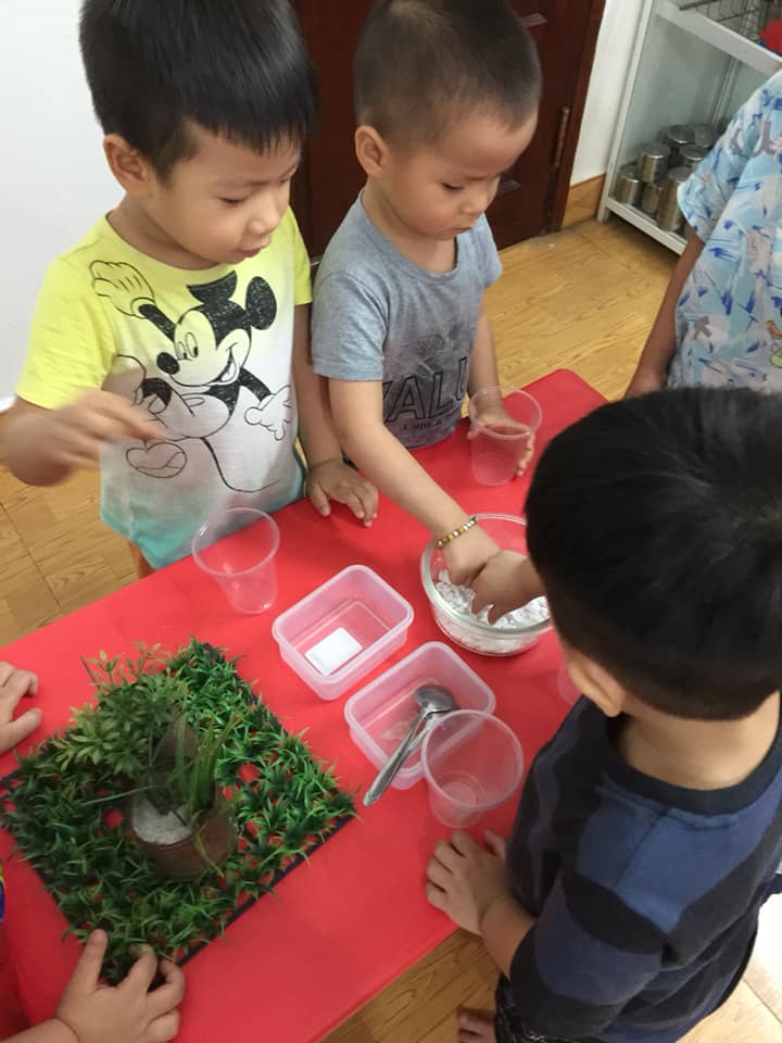 Trường mầm non Hoa Bé Ngoan - Hà Đông