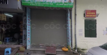 Trường mầm non Ngôi Sao Xanh - Bạch Đằng