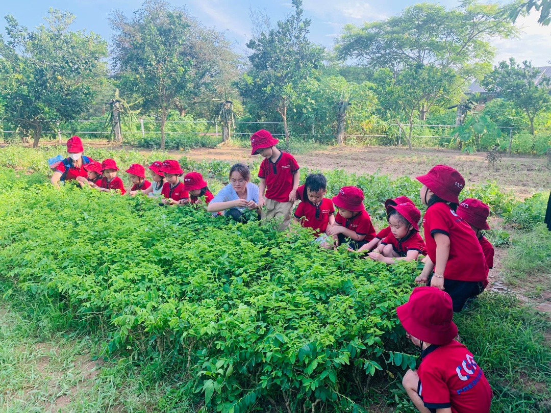 Dịch vụ và tiện ích