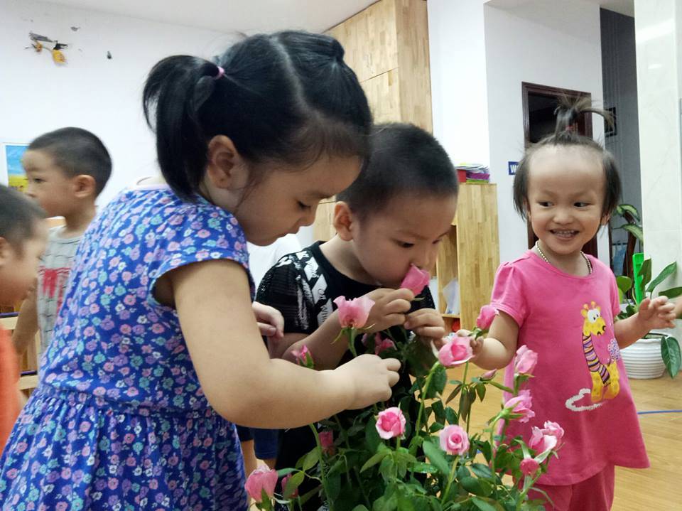 Dịch vụ và tiện ích