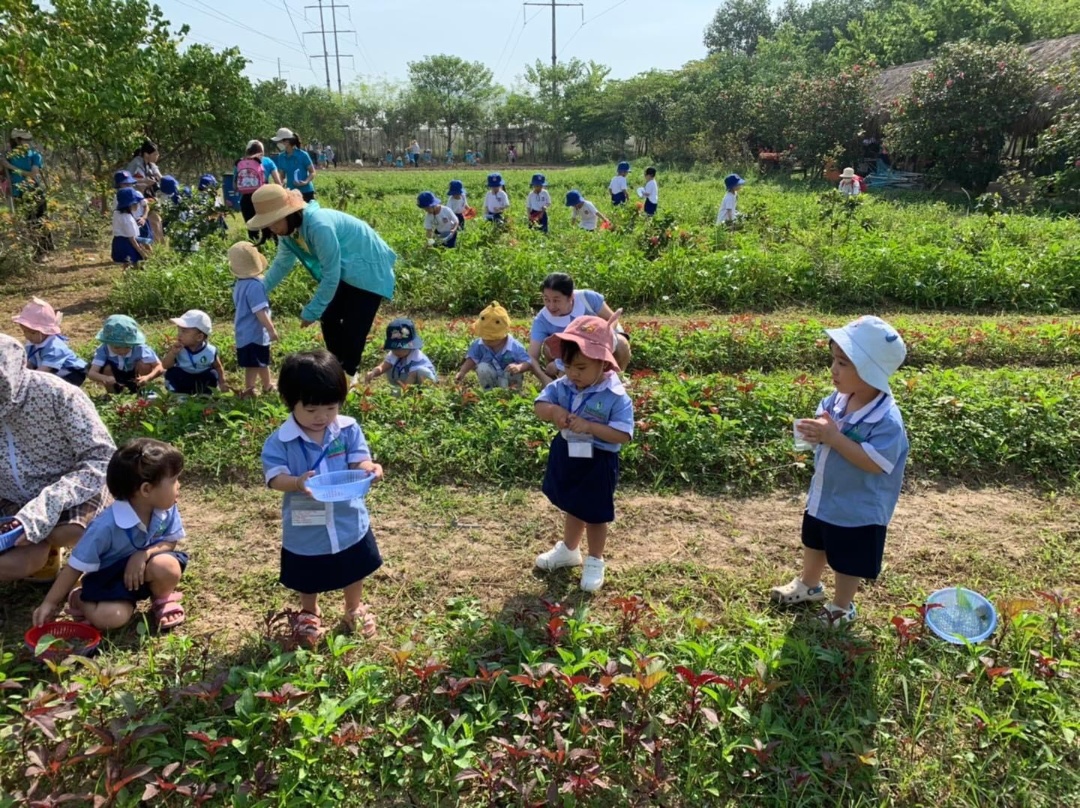 Dịch vụ và tiện ích