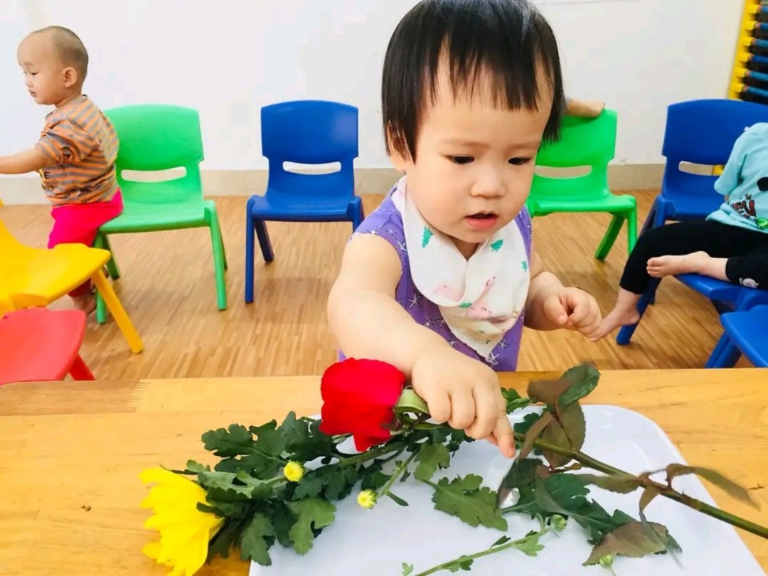 Dịch vụ và tiện ích