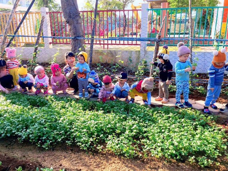 Dịch vụ và tiện ích