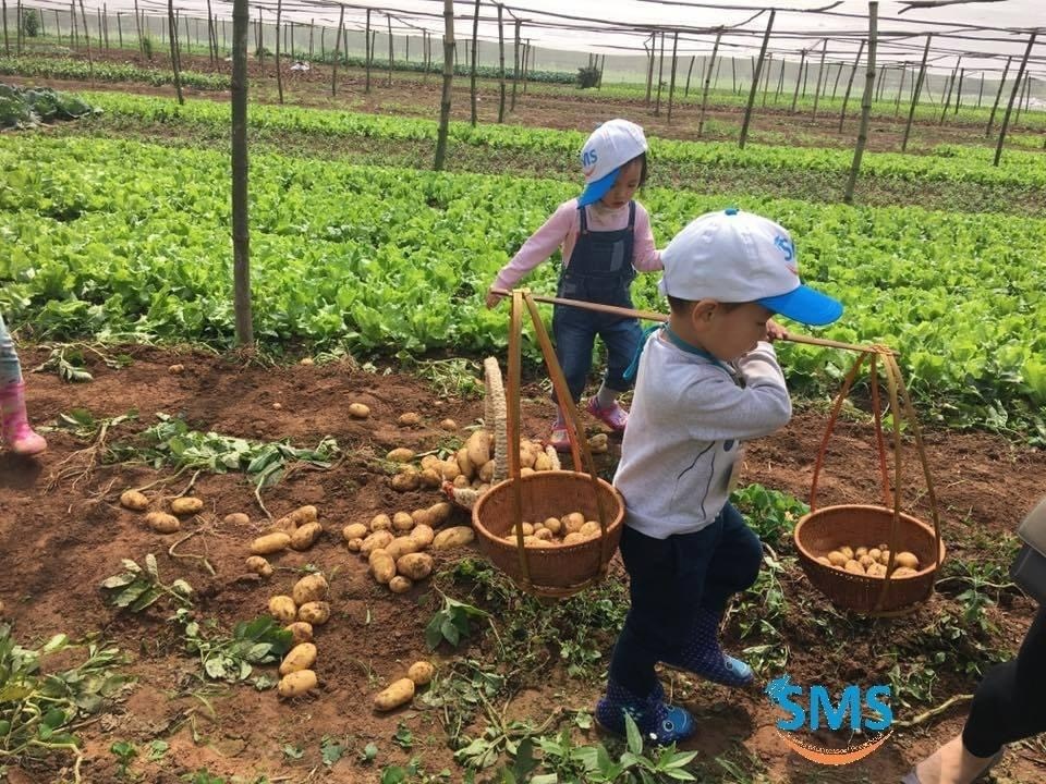 Dịch vụ và tiện ích