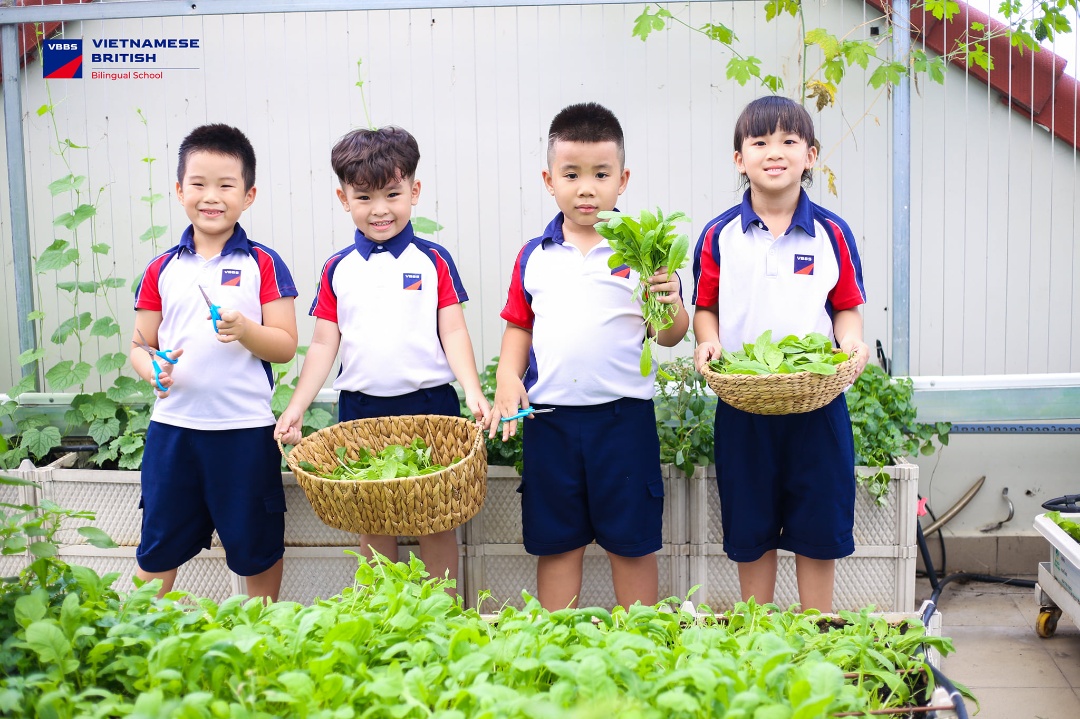 Dịch vụ và tiện ích