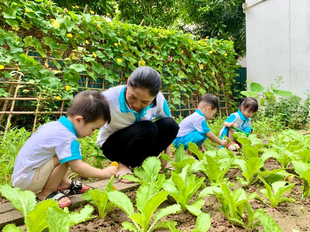 Dịch vụ và tiện ích