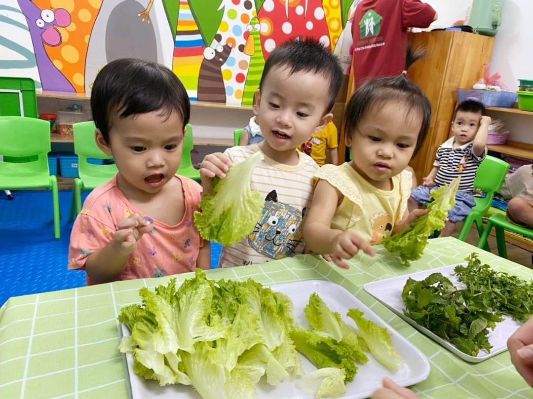 Chế độ dinh dưỡng