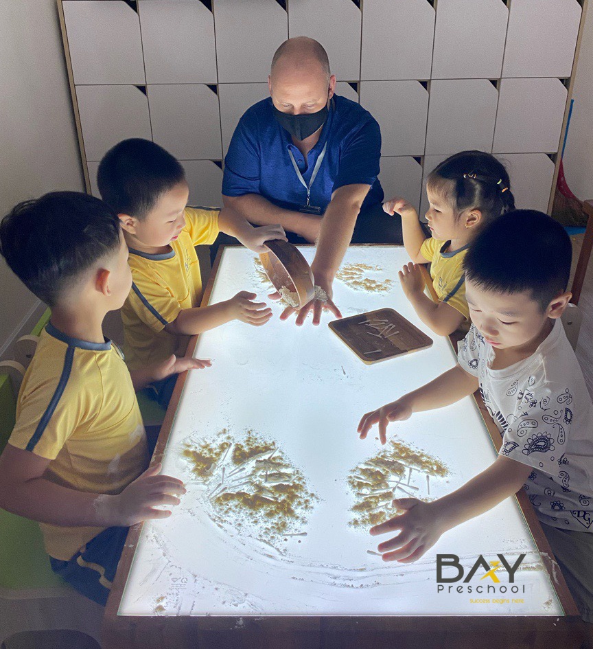 Chương trình học