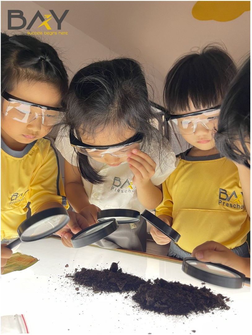 Chương trình học