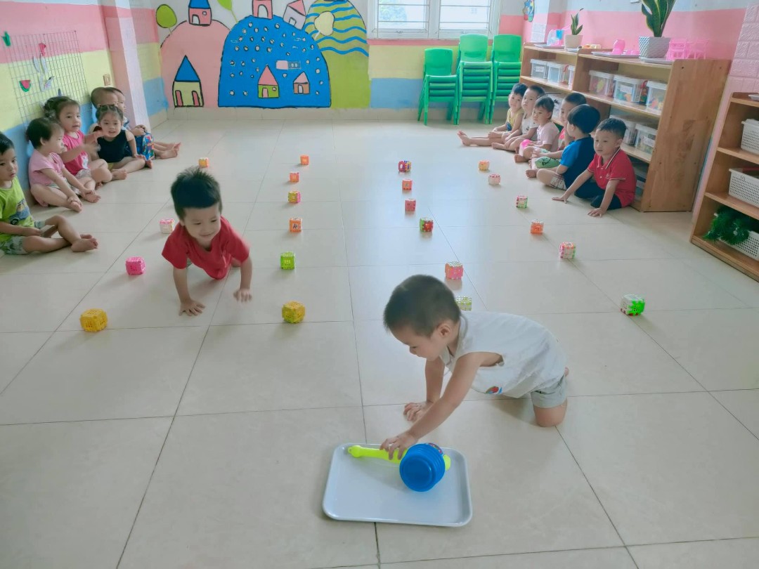 Chương trình học