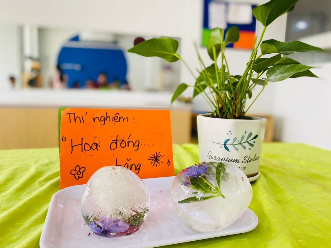 Chương trình học