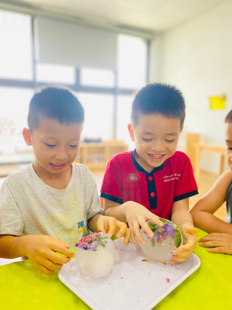 Chương trình học