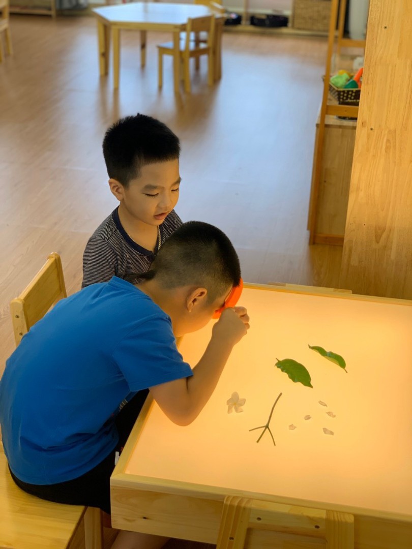 Chương trình học