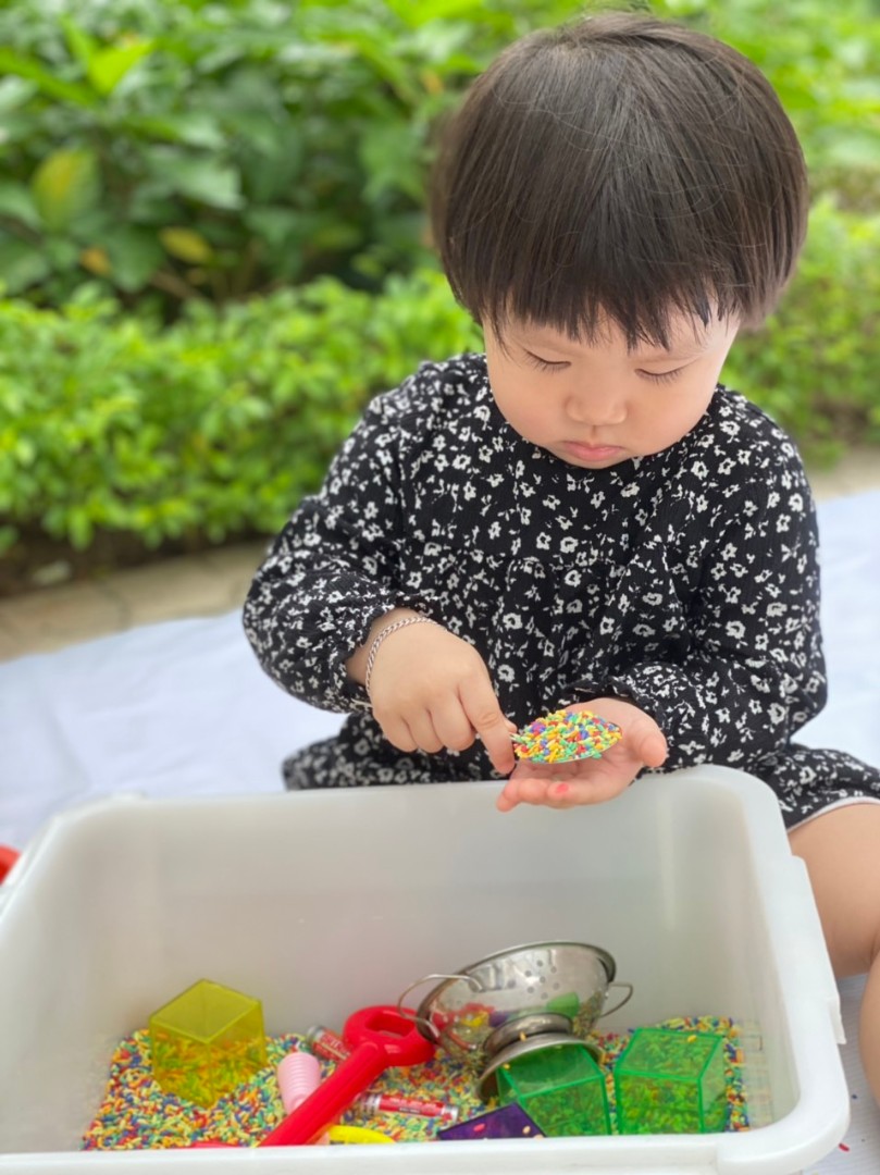 Chương trình học