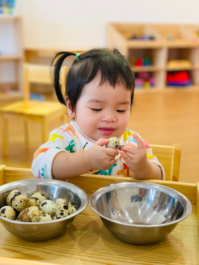 Chương trình học