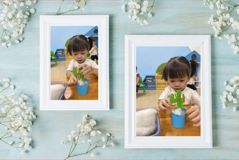 Chương trình học