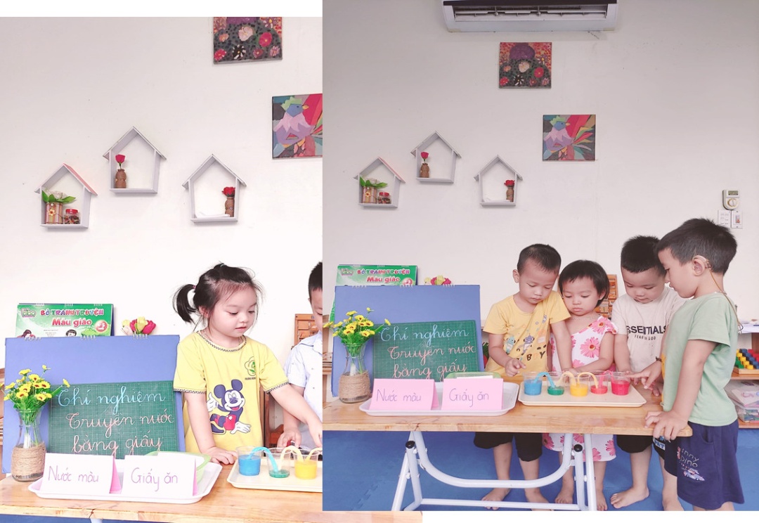 Chương trình học