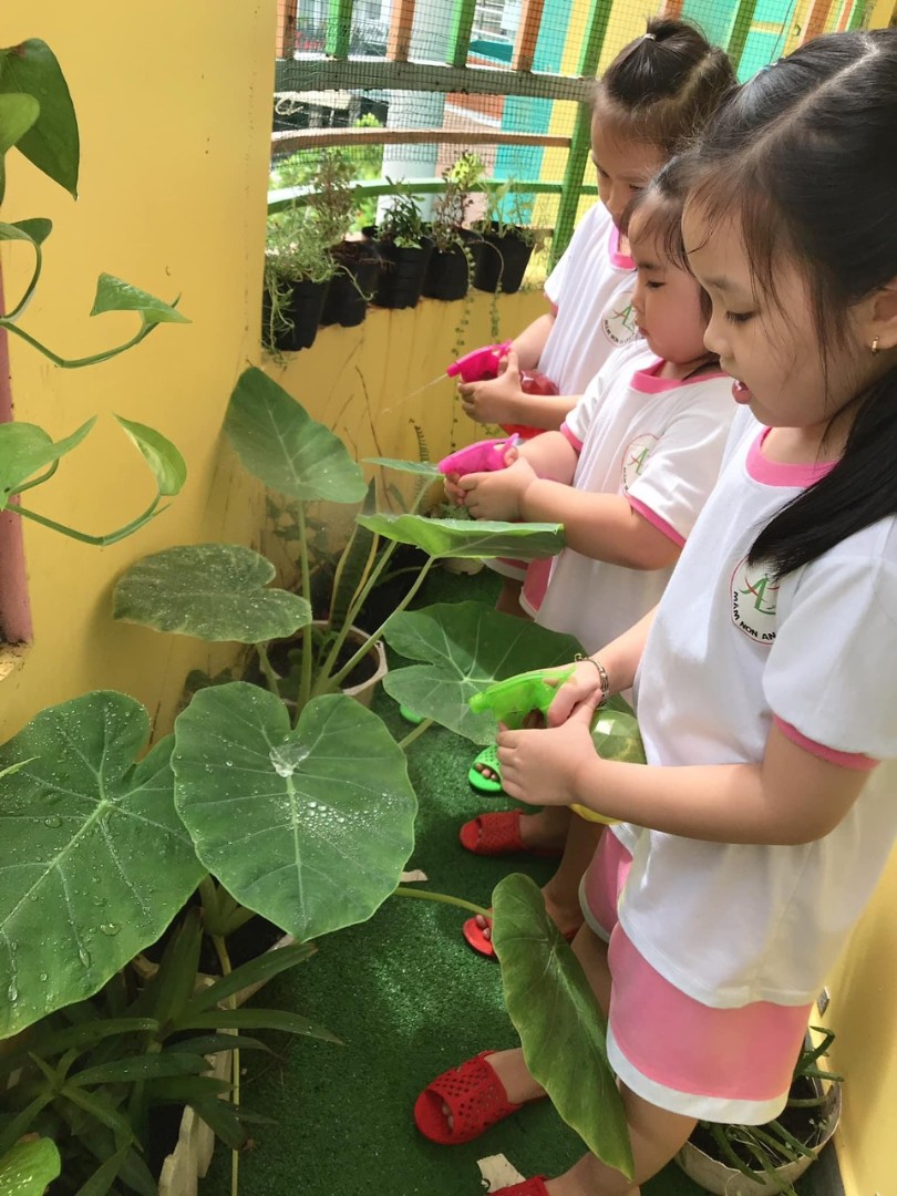 Chương trình học