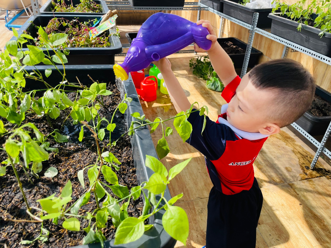 Chương trình học