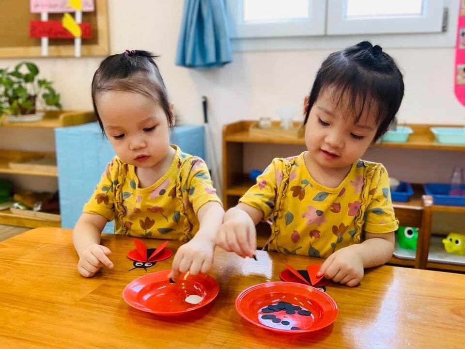 Chương trình học