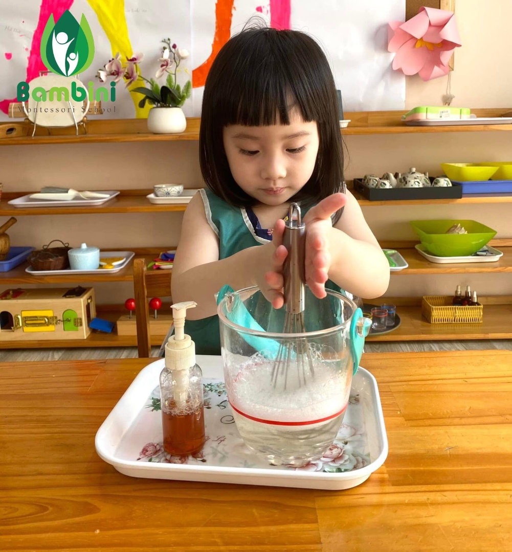 Chương trình học