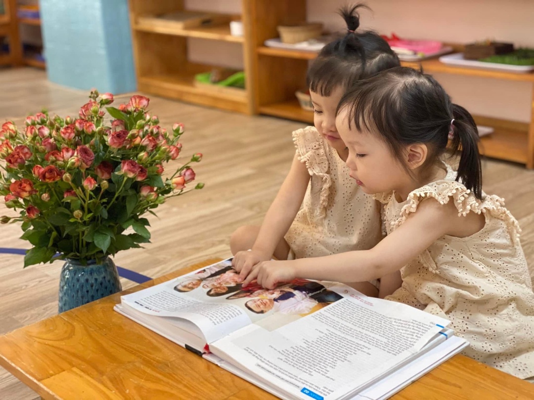 Chương trình học