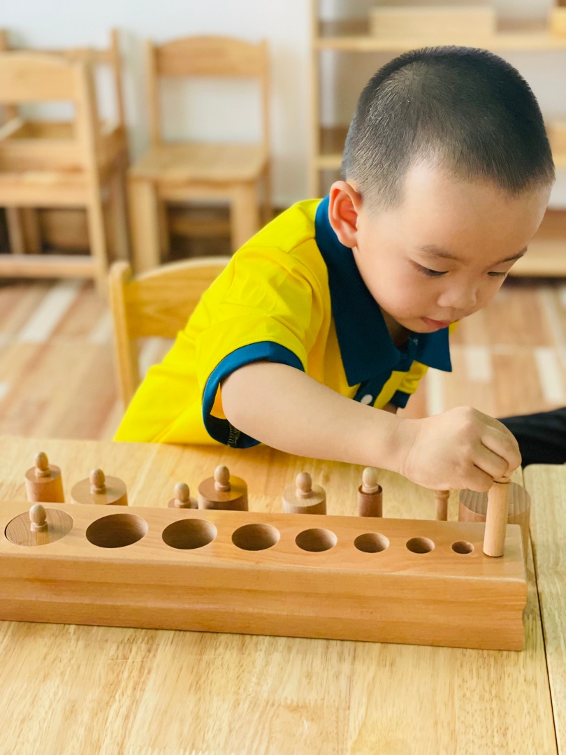 Chương trình học