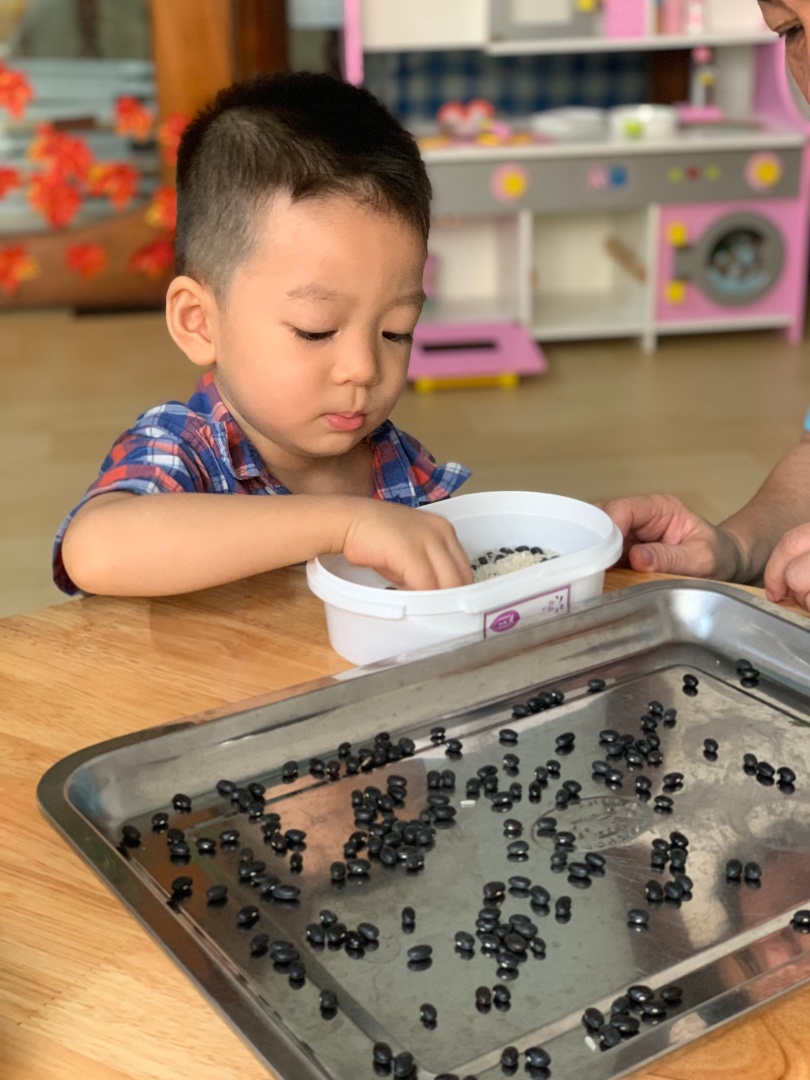 Chương trình học